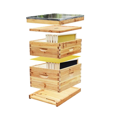 10 Frames Langstroth 2 Layers Complete Beehive Wax Coated For Beekeeping
